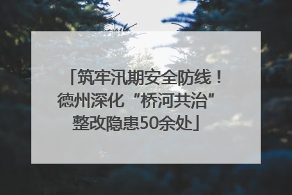 筑牢汛期安全防线！德州深化“桥河共治”整改隐患50余处