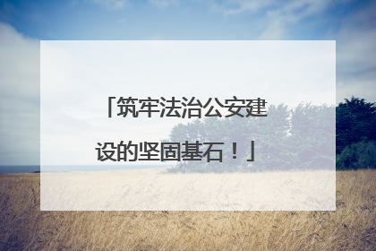 筑牢法治公安建设的坚固基石！