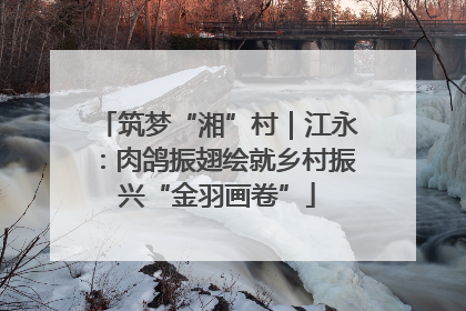 筑梦“湘”村｜江永：肉鸽振翅绘就乡村振兴“金羽画卷”