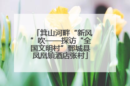箕山河畔“新风”吹——探访“全国文明村”鄄城县凤凰镇酒店张村