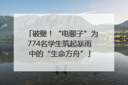 破壁！“电骡子”为774名学生筑起暴雨中的“生命方舟”