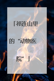 祁连山里的“动物医院”