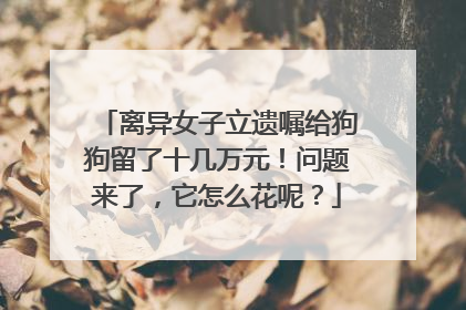 离异女子立遗嘱给狗狗留了十几万元！问题来了，它怎么花呢？