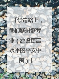 禁毒路上，他们够拼够专业（建设更高水平的平安中国）