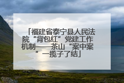 福建省泰宁县人民法院“背包红”党建工作机制——茶山“案中案”一揽子了结
