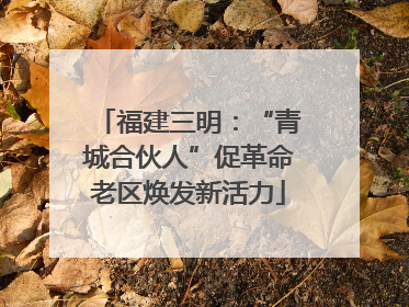 福建三明：“青城合伙人”促革命老区焕发新活力