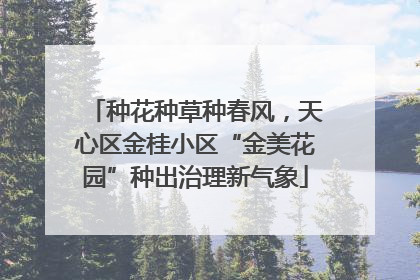 种花种草种春风，天心区金桂小区“金美花园”种出治理新气象