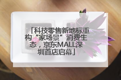 科技零售新地标重构“家场景”消费生态，京东MALL深圳首店启幕