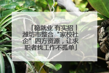 稳就业 有实招丨潍坊市整合“家校社企”四方资源，让求职者找工作不孤单
