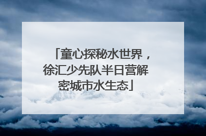 童心探秘水世界，徐汇少先队半日营解密城市水生态
