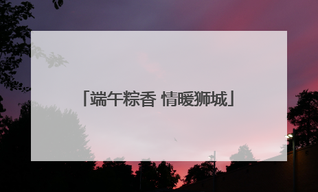 端午粽香 情暖狮城