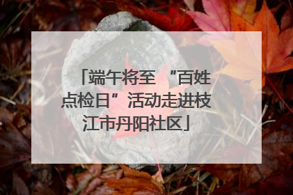端午将至 “百姓点检日”活动走进枝江市丹阳社区