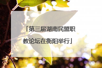 第三届湖南民盟职教论坛在衡阳举行
