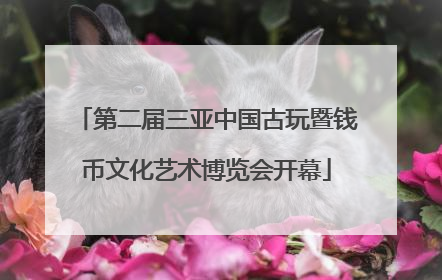 第二届三亚中国古玩暨钱币文化艺术博览会开幕