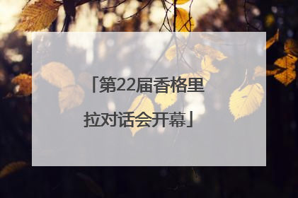 第22届香格里拉对话会开幕