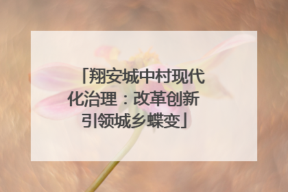 翔安城中村现代化治理：改革创新引领城乡蝶变