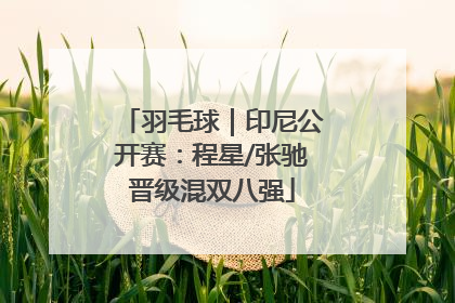 羽毛球｜印尼公开赛：程星/张驰晋级混双八强