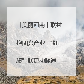 美丽河南丨联村抱团兴产业 “红旗”联建动脉通