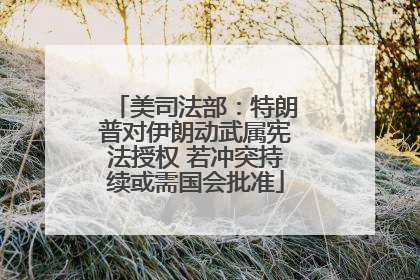 美司法部：特朗普对伊朗动武属宪法授权 若冲突持续或需国会批准