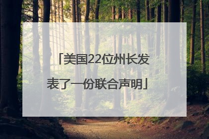美国22位州长发表了一份联合声明