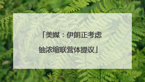 美媒：伊朗正考虑铀浓缩联营体提议