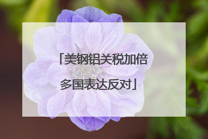 美钢铝关税加倍 多国表达反对