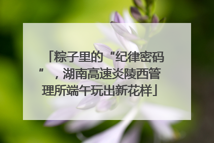 粽子里的“纪律密码”，湖南高速炎陵西管理所端午玩出新花样