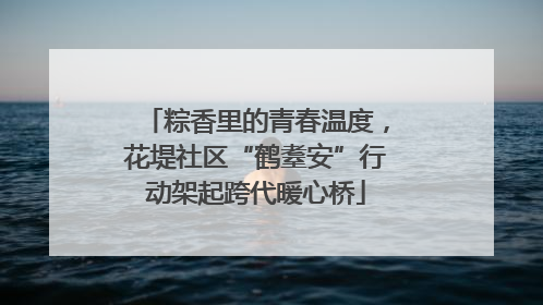 粽香里的青春温度，花堤社区“鹤耋安”行动架起跨代暖心桥