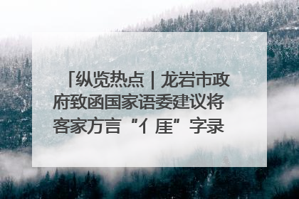 纵览热点｜龙岩市政府致函国家语委建议将客家方言“亻厓”字录入《新华字典》引发热议，当地回应