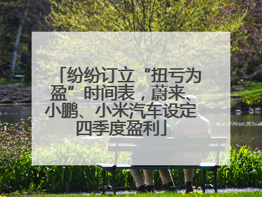 纷纷订立“扭亏为盈”时间表，蔚来、小鹏、小米汽车设定四季度盈利