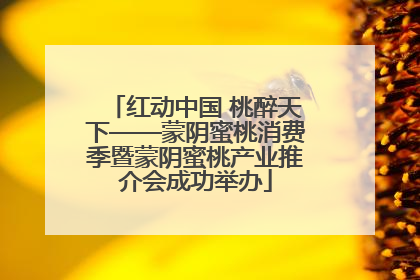 红动中国 桃醉天下——蒙阴蜜桃消费季暨蒙阴蜜桃产业推介会成功举办