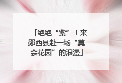 绝绝“紫”！来郧西县赴一场“莫奈花园”的浪漫