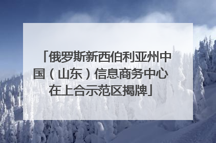 俄罗斯新西伯利亚州中国（山东）信息商务中心在上合示范区揭牌