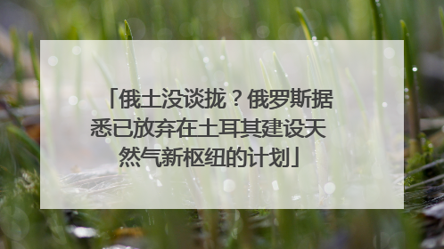 俄土没谈拢？俄罗斯据悉已放弃在土耳其建设天然气新枢纽的计划