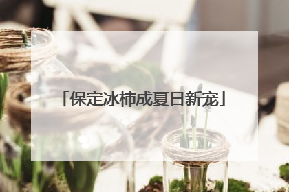 保定冰柿成夏日新宠