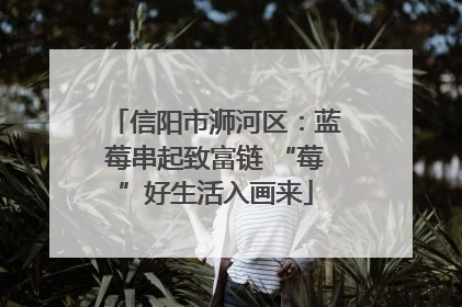 信阳市浉河区：蓝莓串起致富链 “莓”好生活入画来
