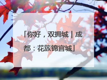 你好，双拥城｜成都：花簇锦官城