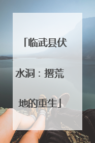 临武县伏水洞：撂荒地的重生