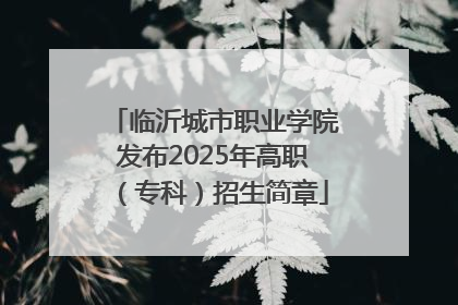 临沂城市职业学院发布2025年高职（专科）招生简章