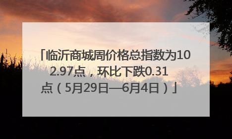 临沂商城周价格总指数为102.97点，环比下跌0.31点（5月29日—6月4日）