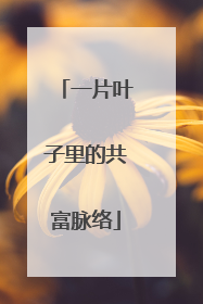 一片叶子里的共富脉络