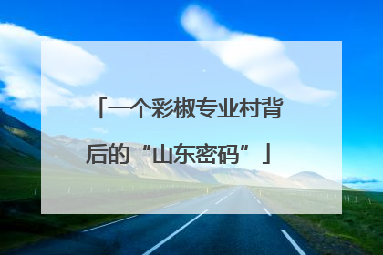一个彩椒专业村背后的“山东密码”