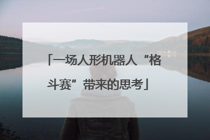 一场人形机器人“格斗赛”带来的思考