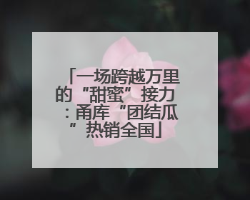 一场跨越万里的“甜蜜”接力：甬库“团结瓜”热销全国