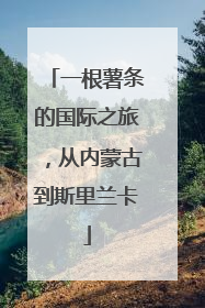 一根薯条的国际之旅，从内蒙古到斯里兰卡
