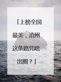上榜全国最美，沧州这条路凭啥出圈？