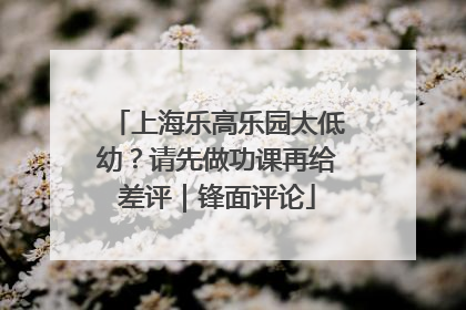上海乐高乐园太低幼？请先做功课再给差评｜锋面评论