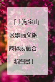 上海宝山区擘画文旅商体展融合新图景