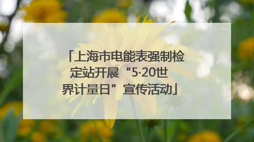上海市电能表强制检定站开展“5·20世界计量日”宣传活动