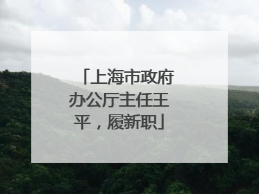 上海市政府办公厅主任王平，履新职